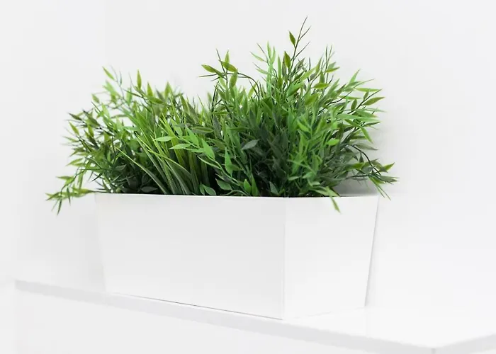 Park Ii - Sshousing 산세바스티안