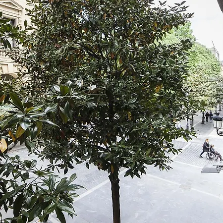 Apartman Park Ii - Sshousing