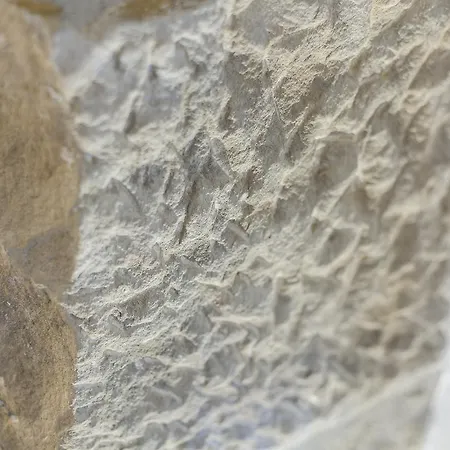 Apartman Park Ii - Sshousing San Sebastián